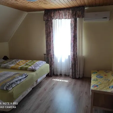 Borostyan Nyaralohaz Holiday home *