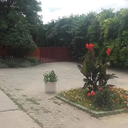 Borostyan Nyaralohaz Balatonboglar