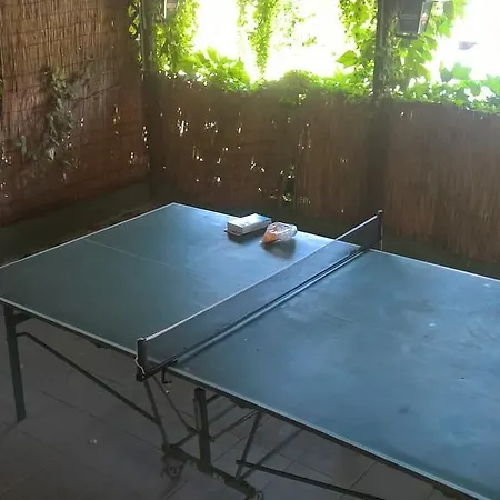 Nyaraló Borostyán
